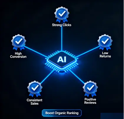 How Amazon Organic Algorithm Reads Signals