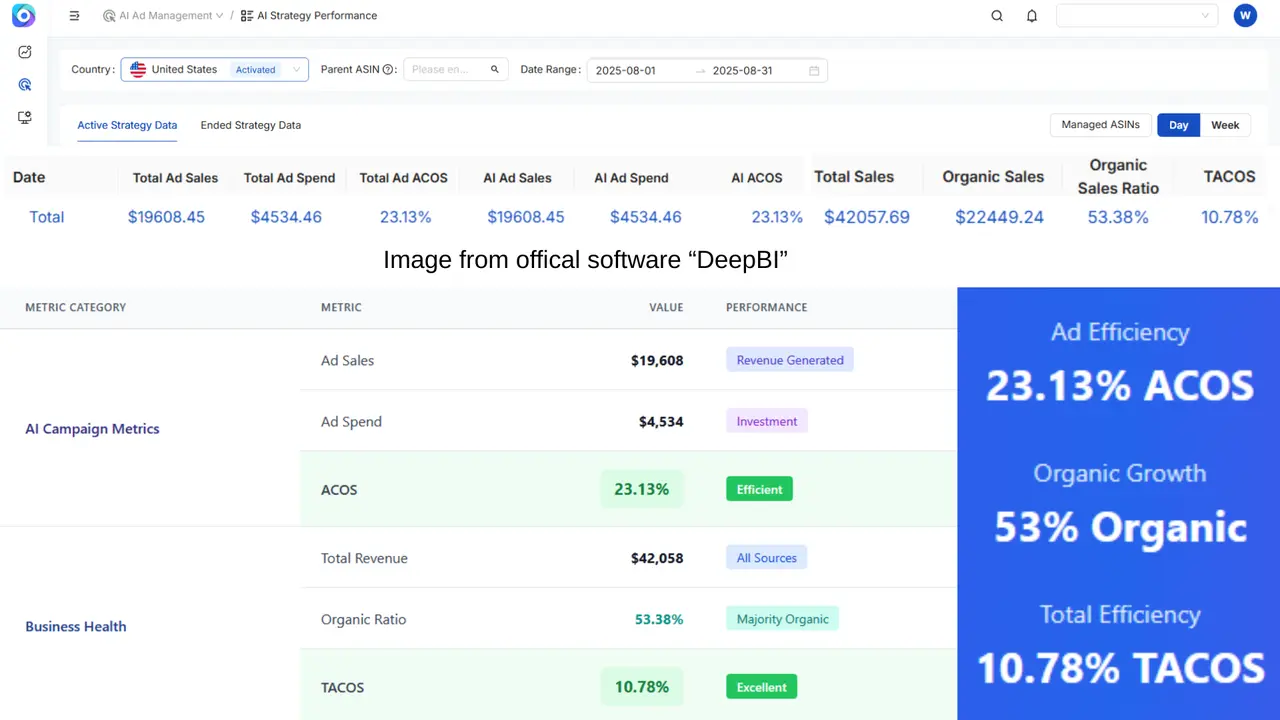 DeepBI Software Interface August